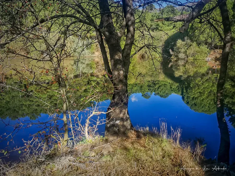 Mapa para ir a La Colmenilla
