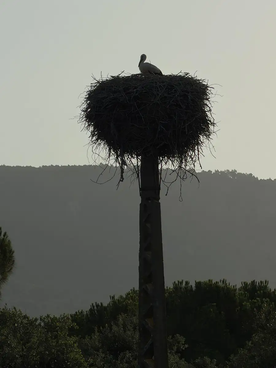 Paseos por La Adrada
